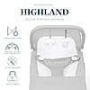 Baby Delight Highland Baby Bouncer | Infant | 0 – 6 Months | 3-Position Recline | Pebble Grey #1