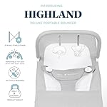Baby Delight Highland Baby Bouncer | Infant | 0 – 6 Months | 3-Position Recline | Pebble Grey - Image 2