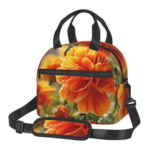 Marigold �t�����[ �H�̉� �����p �f�M�o�b�O �ė��p�\�� �R��h�~ �y�� �H�������o�b�O