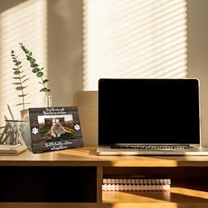 Dog Memorial Picture Frame 8x10, Pet Memorial Picture Frame, Pet Memorial Gifts for Dogs, Dog Frames for Pictures Memorial, You'll Be Loved for a Life Time and Missed Forever Photo Frame 5x7 Dog Memorial Picture Frame 8×10 Pet Memorial Picture Frame Pet Memorial Gifts for Dogs Dog Frames for Pictures Memorial Youll Be Loved for a Life Time and Missed Forever Photo Frame 5×7