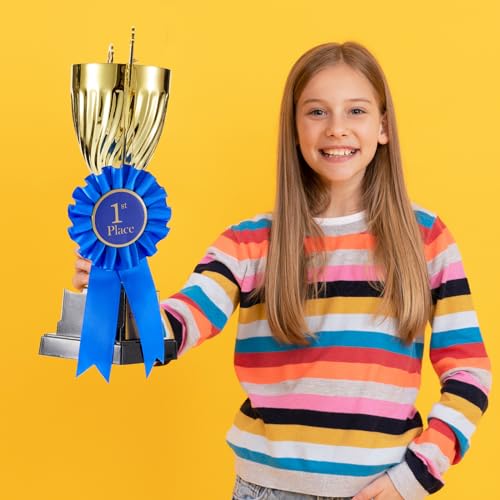 Lewtemi Award Ribbon Rosette Set 1st, 2nd, 3rd Place Ribbon Honorable Mention Prize Badge Medal(8 Pcs)