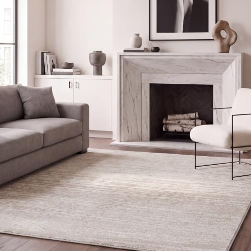SAFAVIEH Adirondack Area Rug 6x9, Ivory & Beige ADR113D