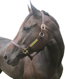 Turnout Leather Halter for Horses with Customized Engraved Name Plate | Brown Leather with Solid Brass Hardware | Fixed Chin, Double Buckle Crown