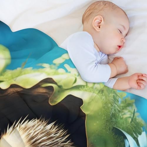 Couverture en hérisson moelleuse contre le froid nocturne, plaid flanelle lit