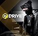 EzyDog Autogeschirr Hund – Crash-Getestet nach ECE R21 – Drive Sicherheitsgeschirr mit integrierter Gurtbefestigung fürs Auto (M, Schwarz)
