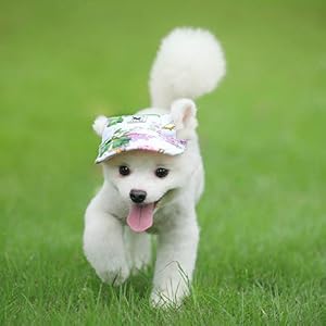 Baseball Caps Hats with Neck Strap Adjustable Comfortable Ear Holes for Small Medium and Large Dogs in Outdoor Sun Protection (S, Colour Flower)