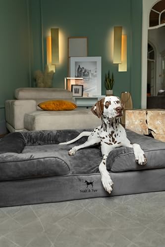 Image of NOAH & PAW XL Dog Bed, 45x35x11 Inch, Orthopedic Large Dog Beds, Eggshell Memory Foam Infused with Cooling Gel, Inner Cover, Water Resistant, Machine Washable (Velvet Sofa Collection)