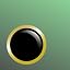 Frame: Black Gold | Lens: Green