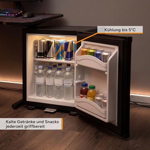 TZS First Austria - Mini Kühlschrank 30L komplett lautlos - Kleiner Minikühlschrank, wechselbarer Türanschlag & Innenbeleuchtung - Minibar für Camping, Büro, Schlafzimmer & Hotel - Mattschwarz