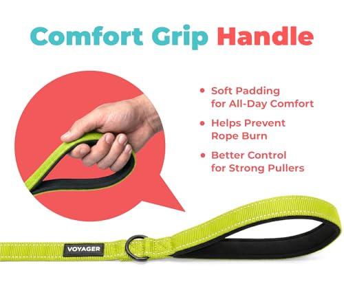 Image of Best Pet Supplies Voyager Reflective Dog Leash or Collar with Neoprene Handle, for Small, Medium, and Large Breed Puppies, Cute and Heavy Duty for Walking, Running and Training - Lime Green (Leash), L