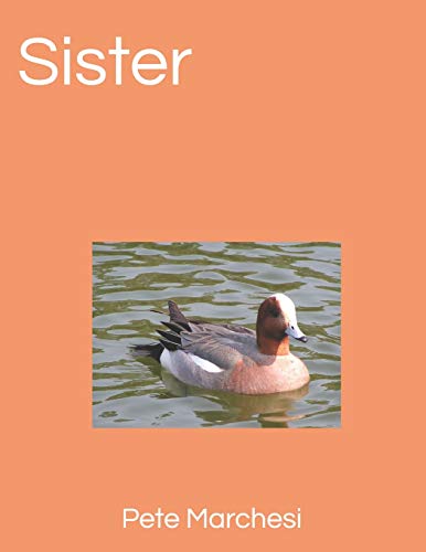Sister B08DC6GXDS Book Cover
