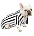Impoosy Dog Halloween Shirts Funny Beetlejuice Pet Clothes Puppy Halloween Costume Striped Shirts with Tie (M)