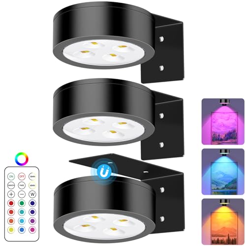 SIXDEFLY RGB Picture Light Battery Operated Painting Lights for Wall Wireless Magnetic Display Art Light with Remote Controls,Dimmable&Timer for Art Frame Artworking,3Pack Black