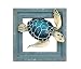 Comfy Hour 6" Turtle Coastal Ocean Theme 3D Wall Decorative Frame