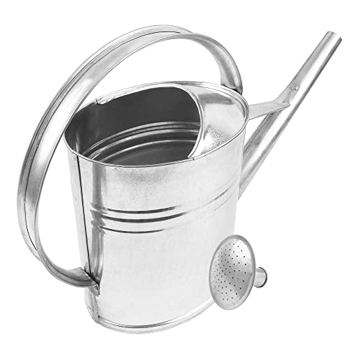BAUSTER Arrosoir en zinc 8 l – Arrosoir en métal galvanisé avec douchette d'arrosage, arrosoir de jardin robuste en acier pour l'intérieur et...