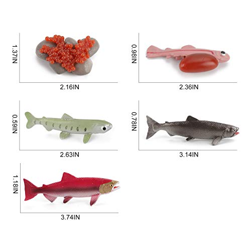 Fantarea 5 Pcs Sea Marine Animal Figures Ocean Creatures Action Figure Models Life Cycle Salmon Fish Figurine Cake Toppers Party Favors Supplies Educational Toy For Boys Girls Kid 5 6 7 8 Years Old #TOP4