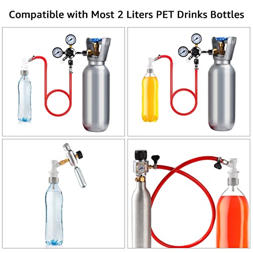 Dbgogo 5 Feet Ball Lock Disconnect Gas Tubing Line Stainless Steel Carbonation Cap Kit For Soda Beer Pet Bottle Co2 Regulator Keg Tap With Stainless O.d 5/16'' Barb Brewing Hose Clamp Sealing Gasket #TOP5