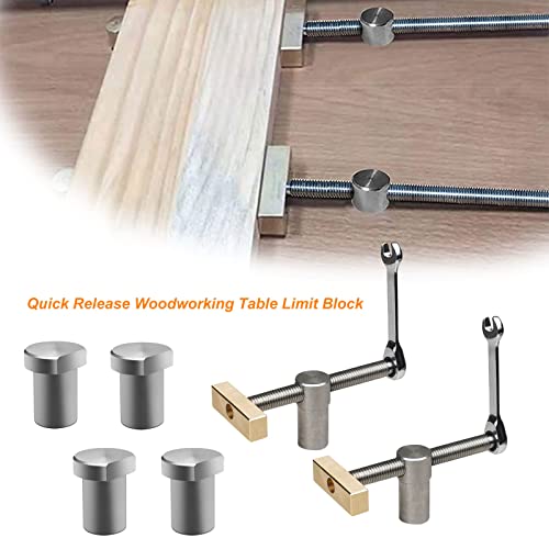 2 Pcs Bench Dog, Dog Clamps Woodworking 3/4 Inch With 4 Pcs 19 Mm Bench Dogs Hole Adjustable Workbench Bench Dogs Stainless Steel Brass Fixture Vise Benches Carpenter Tool (19 Mm) #TOP1