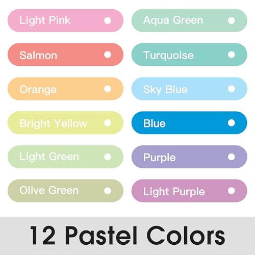 Highlighters, Aesthetic Cute Pastel Bible Highlighters Assorted Colors, 12 Pack Dual Tip Highlighter and Pens No Bleed, Smooth Writing Pastel Markers for Bible Book Planners Journaling