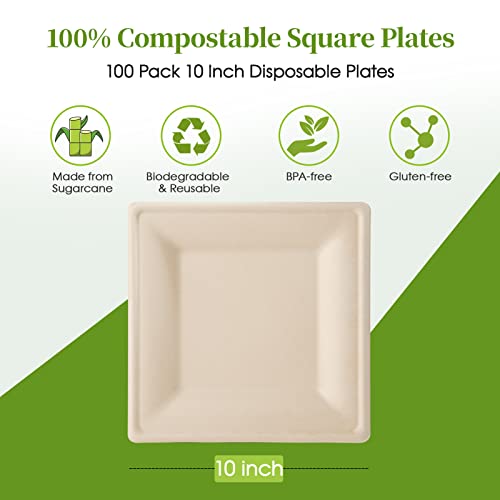 Ecolipak 100 Pack Compostable Square Plates, 10 Inch Disposable Paper Plates, Eco-Friendly Heavy Duty Biodegradable Sugarcane Plates… #TOP1