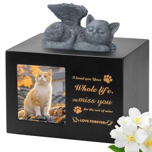 DiDiBirDi Pet Urn for Cat Ashe, Black Wooden Keepsake for Hair by DiDiBirDi - Used condition - CA$34.19