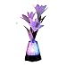 blinkee Fiber Optic Flowers with Light Up Gemstones Centerpiece USB - Slow Color Morphing Lighting Effect - Acryllic