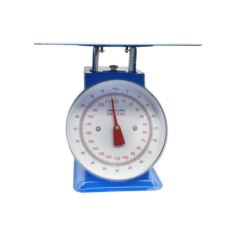 Professionelle mechanische Waage, 100 kg
