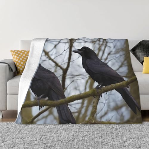 Couverture polaire douce plaid flanelle lit canapé jeté de lit corbeau noir 152x127