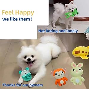 30 Pack Puppy Squeaky Toys Pet Dog Toys Squeeker for Pet Small Puppies Dogs 30 Pack Puppy Squeaky Toys Pet Dog Toys Squeeker for Pet Small Puppies Dogs