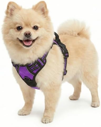 Funfox Dog Harness Small Breed, No Pull Dog Harness Adjustable with Handle Easy Control, Durable Materials 2 Clips Harnais Pour Chien Reflective Strips Pet Vest for Night Walking Purple S