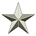 3D 5 Point Silver Star Lapel Pin