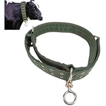 Cow Collar, Adjustable Nylon Thickened Cattle Collar Cow Neck Strap with 2 Rows Metal Buckle and Traction Chain for Farm Animals Horse Cow Goat Dog Large Size