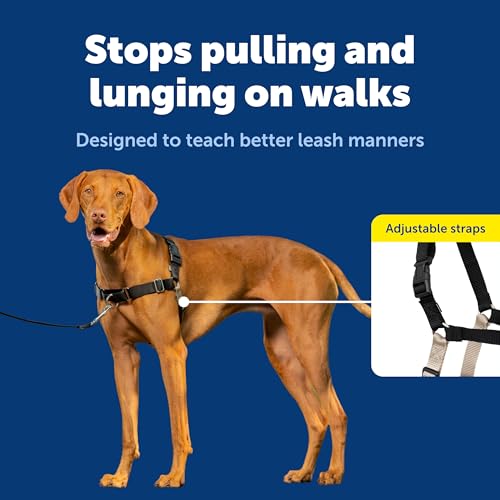 PetSafe Easy Walk No-Pull Dog Harness - Ultimate Harness to Help Stop Pulling - Pull-Free Walks - Take Control & Teach Better Leash Manners - Patented Martingale Loop Design - Black, Medium by PetSafe - Image 3