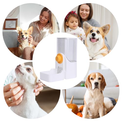 Comederos automáticos para gatos que evitan vuelcos de comida en la jaula 5