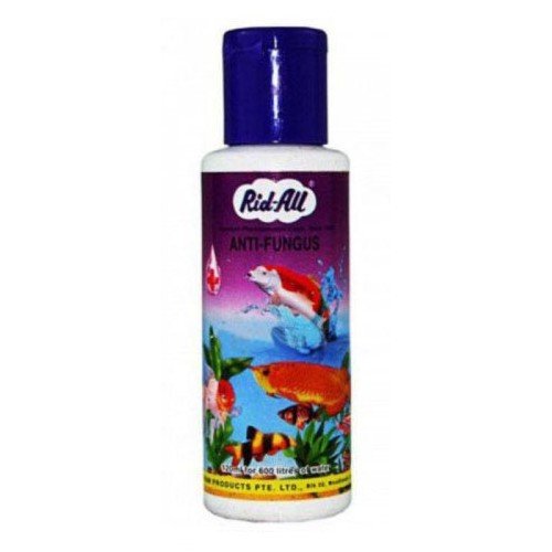 Buy Lagoon Aqua Rid All Anti Fungus 120Ml Aquarium Fish Medicine Online