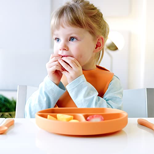 Quark Feedi Baby Led Weaning Supplies - 5-Piece Silicone Baby Feeding Set - Toddler Plates And Bowls Set - Adjustable Silicone Baby Bib With Food Catcher & Baby Utensils - Microwave & Dishwasher Safe #TOP1