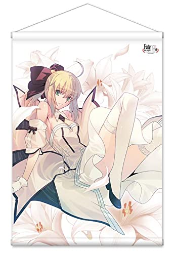 TYPE-MOON Fate\stay night セイバー　タペストリー Amazon.co.jp: TYPE-MOON Fatestay night セイバー タペストリー : ホビー