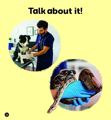 The Job of a Vet (Set 4) (Phonics Book Bag Readers)