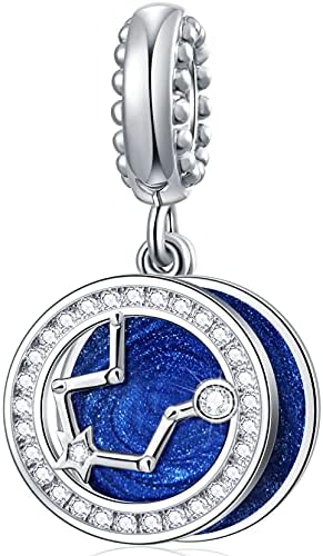 Amazon.com: Aquarius Zodiac Sign Charms 