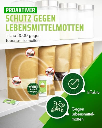 Lebensmittelmottenfalle von Der Motten-Shop – Biologische Bekämpfung