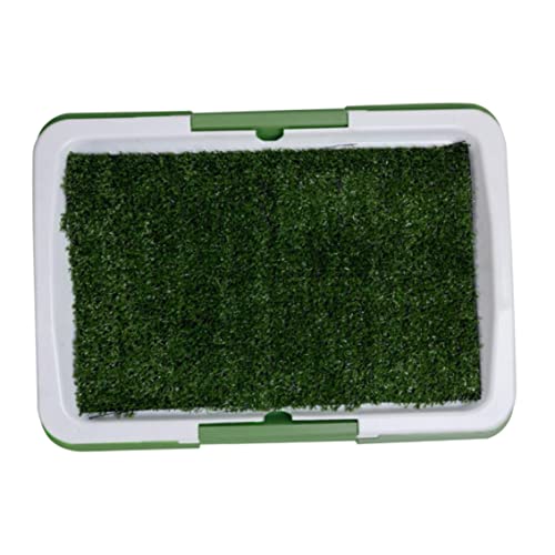 Toilette intérieur pour chien idéale en appartement avec tapis d'herbe artificielle