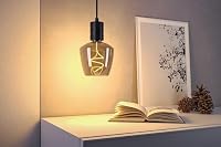 Paulmann 29240 Floating Shine Standard 230V LED Globe E27 150lm 4W 1800K dimmbar Rauchglas – Ansicht 3