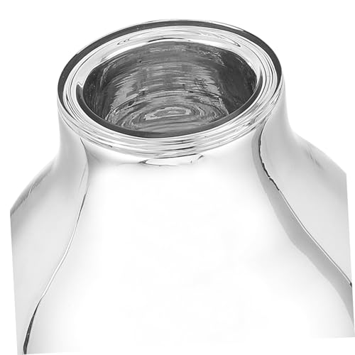 OFFSCH Insulated Flask Liner Vacuum Insulated Glass Bottle Liner for Hot Water Kettle 1l Capacity