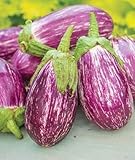 Exotic Listada de Gandia Eggplant Seed for Planting | 50+ Seeds | Ships from Iowa, USA | Non-GMO Exotic Heirloom Vegetables | Great Gardening Gift
