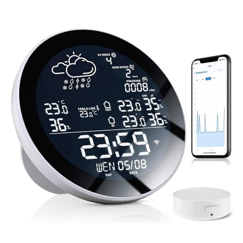 Estación meteorológica WiFi para exteriores inalámbrica, con pluviómetro y anemómetro exterior, fecha y hora, temperatura y humedad, para el hogar y el jardín (pantalla en blanco y negro + 1* sensor)