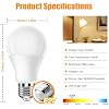 Neporal Rechargeable Light Bulbs + Amber Warm Light Bulbs