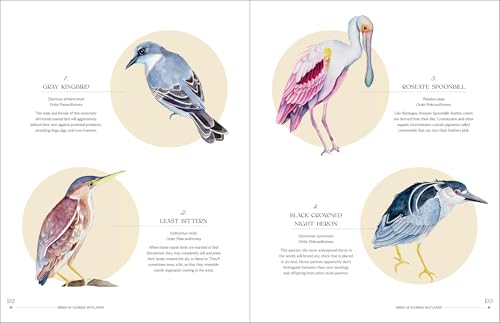 Image of The Illuminated Book of Birds
