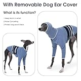 IECOii Greyhound Pullover mit Ohrenschutz,Langarm Hundepullover,Haustierpullover aus Baumwolle,Greyhound Schlafanzug mit Zwei Beinen,Kapuzenpullover Whippet Pyjama,Dehnbarer Warmer Hundemantel,Blau,XL