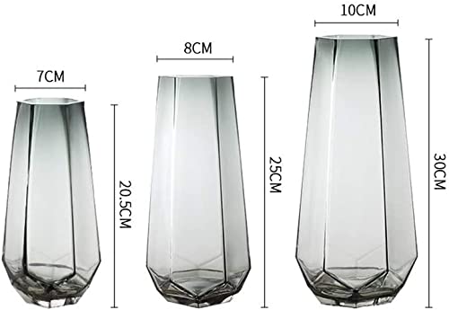 Vase hydroponique RLKHXBS anti-renversement pour décoration sans risque - 3