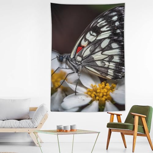 Tapisserie murale papillon pour cacher un mur abîmé et décorer une chambre